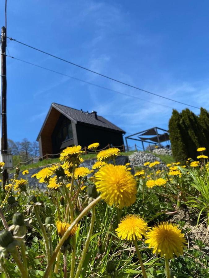 Vila Stodola Nad Skawa Sucha Beskidzka Exteriér fotografie
